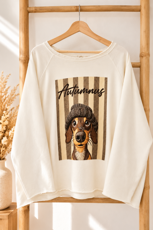 SUDADERA DACHSHUND
